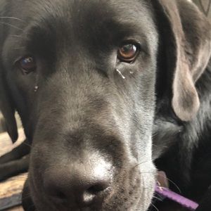 Meet your Posher, Matthew